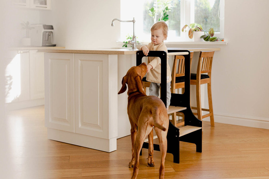 How to Care for Wooden Toys and Furniture — Tips to Make Them Last for Years - Duck Woodworks