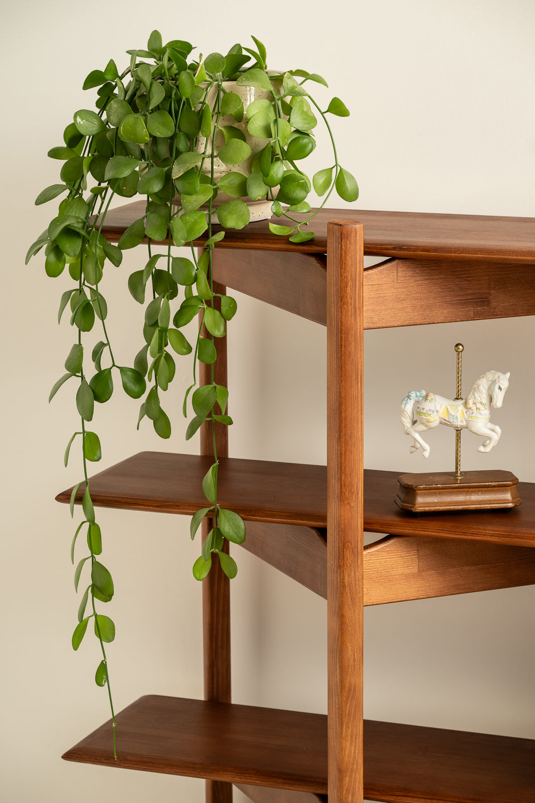 Bücherregal im Mid-Century-Modern-Stil